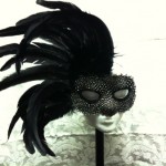 black_and_white_spotted_with_black_feathers