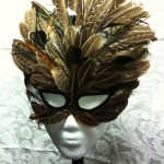 brown_feathers